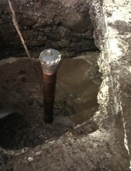 WhatsApp Image 2024-03-08 at 10.54.46 (1)